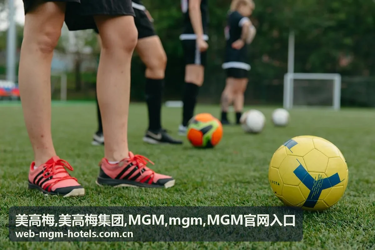 美高梅 MGM 酒店服务入口示意图